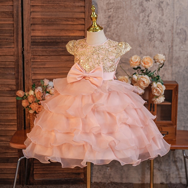 pink communion dresses Zwiiyzr 5-15y First Communion Dress Flower Girl Dress Elegant Wedding Birthday Party A-Line Bridesmaid Princess Dress for Wedding Party Pink, Infant