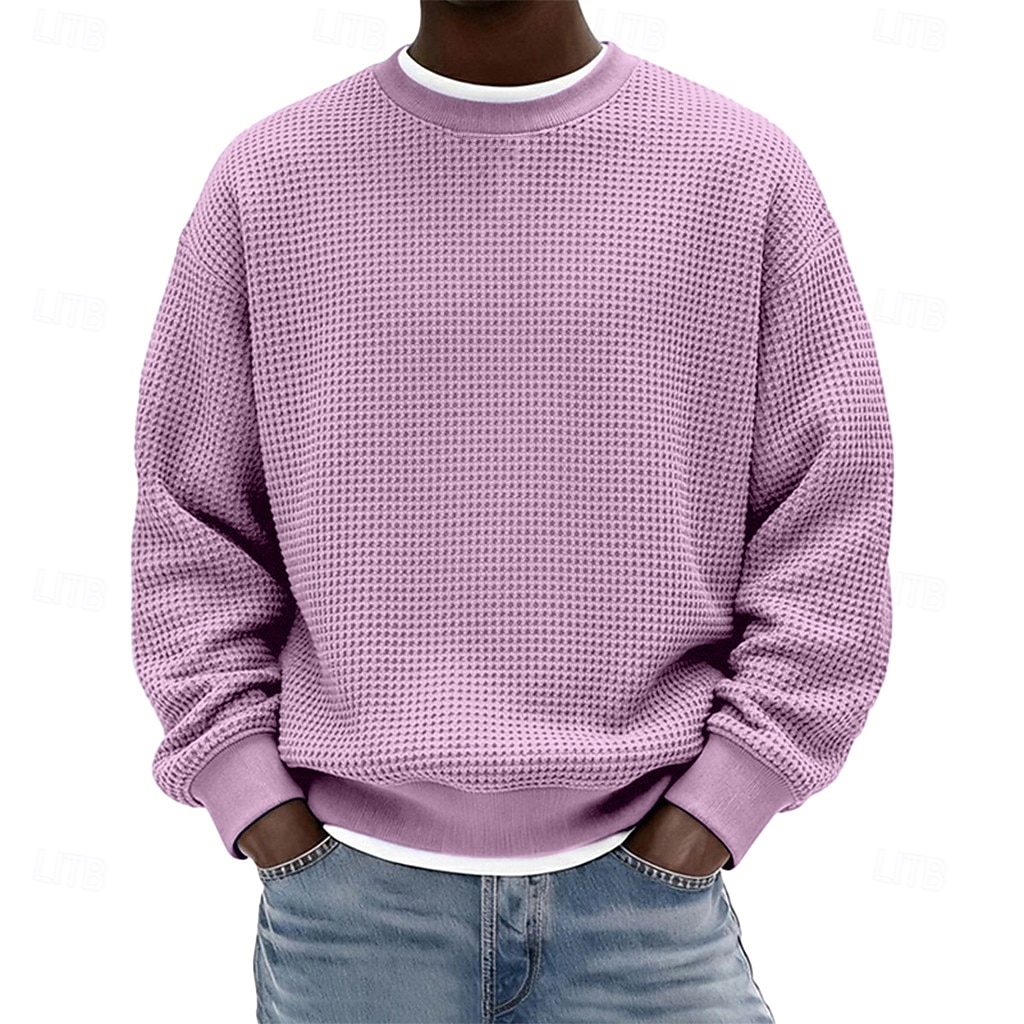 Férfi Pulóver Gofris pulóver Pulóver kapucnis pulóver Vörösbor Fekete Fehér Világoszöld Sötétkék Terített nyak Sima Texturált Hétköznapi Napi Sport & Szabadtéri Poliészter Utcai sikk Menő Sportruházat 2026 - $24.99 –P2