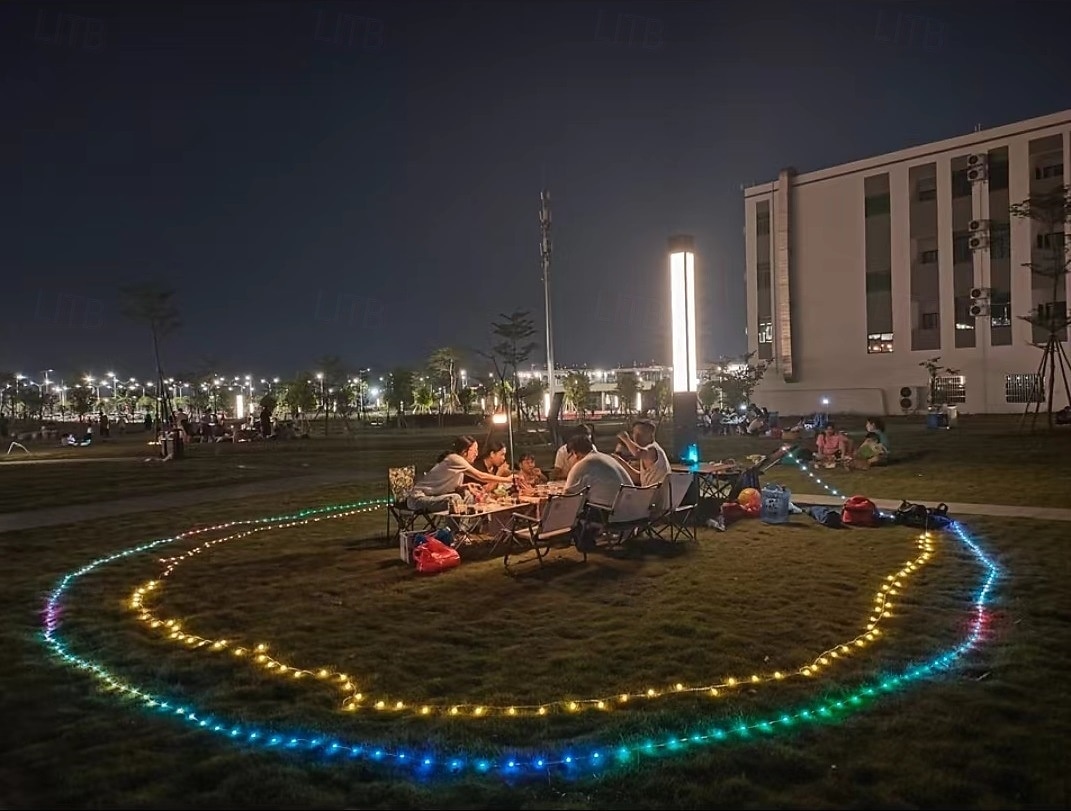 Guirlande lumineuse colorée Bluetooth App étanche en fil de cuir effet coloré de course de chevaux guirlande féerique lumières décoratives d'ambiance pour arbres mariage festival fête du Nouvel An de 2026 ? $7.49 –P6