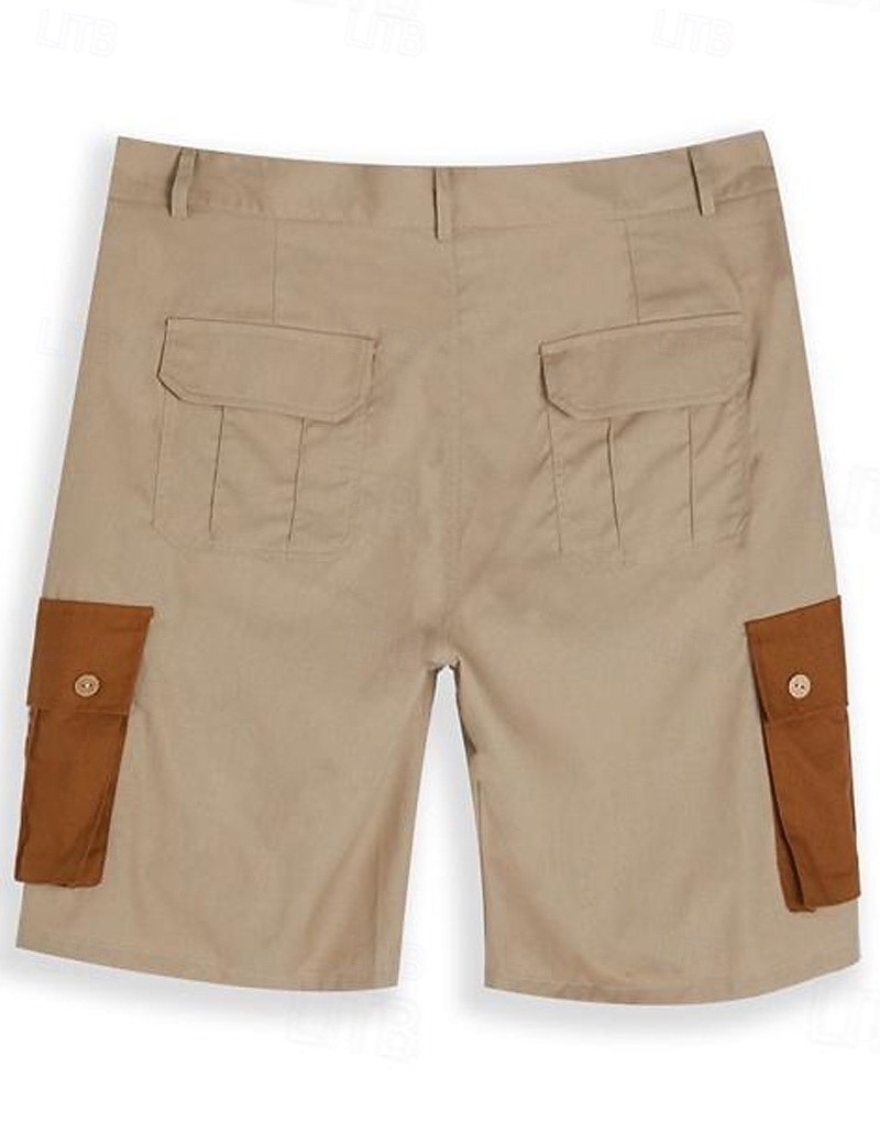 Per uomo Pantaloncini cargo Shorts Shorts di Lino Pantaloncini Estivi Shorts da Spiaggia Patchwork Tasca Blocco di colori Comodità Traspirante Lunghezza al ginocchio Casuale Quotidiano Ferie Vacanza del 2026 a $25.99 –P9