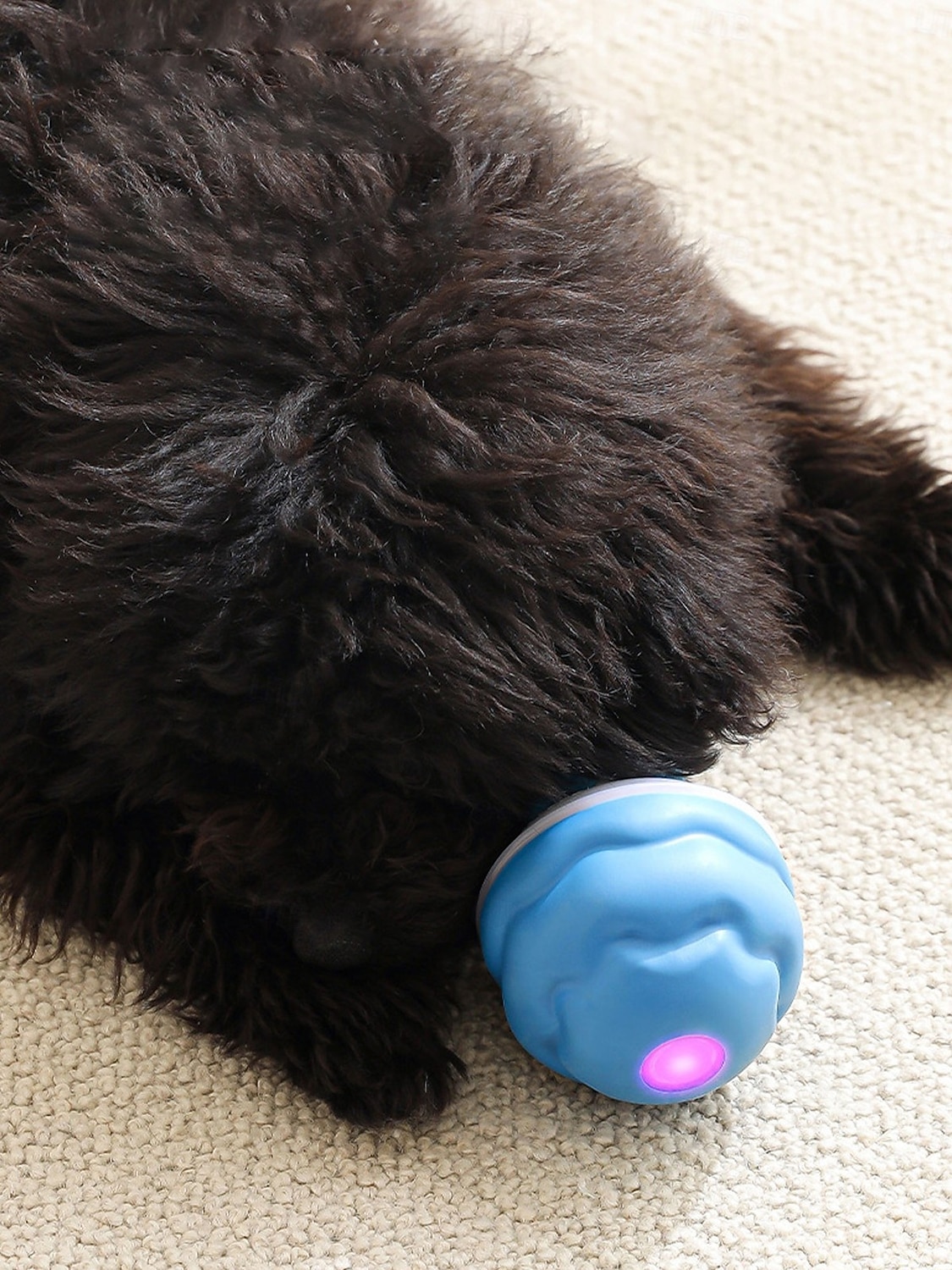 لعبة باور تيل 2.0 للكلاب، كرة تفاعلية للكلاب، كرة قفز 2026 - $25.99 –P2