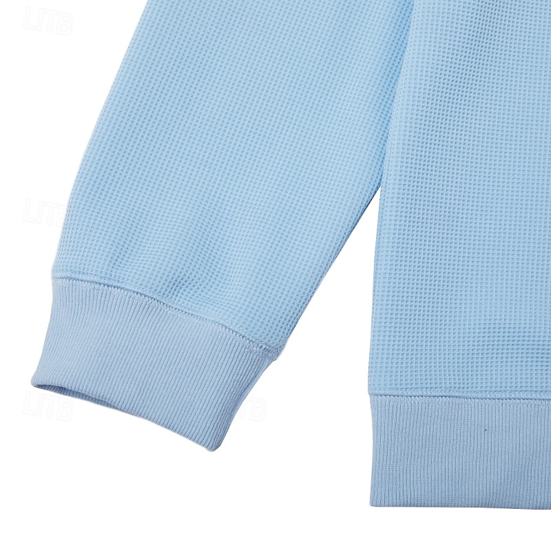 Férfi Pulóver Gofris pulóver Pulóver kapucnis pulóver Vörösbor Fekete Fehér Világoszöld Sötétkék Terített nyak Sima Texturált Hétköznapi Napi Sport & Szabadtéri Poliészter Utcai sikk Menő Sportruházat 2026 - $24.99 –P12