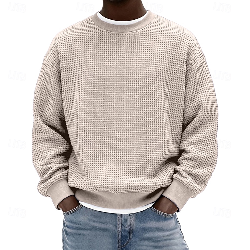 Férfi Pulóver Gofris pulóver Pulóver kapucnis pulóver Vörösbor Fekete Fehér Világoszöld Sötétkék Terített nyak Sima Texturált Hétköznapi Napi Sport & Szabadtéri Poliészter Utcai sikk Menő Sportruházat 2026 - $24.99 –P6