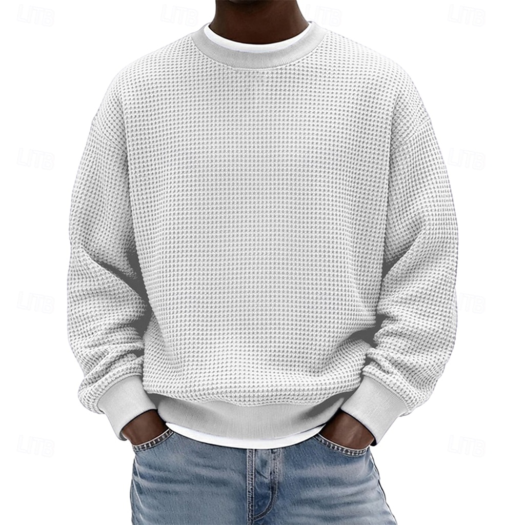 Férfi Pulóver Gofris pulóver Pulóver kapucnis pulóver Vörösbor Fekete Fehér Világoszöld Sötétkék Terített nyak Sima Texturált Hétköznapi Napi Sport & Szabadtéri Poliészter Utcai sikk Menő Sportruházat 2026 - $24.99 –P3