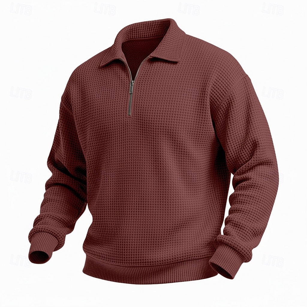 Homme Sweat-shirt Sweat-shirt gaufré Sweat à capuche Sweat-shirt quart de fermeture éclair Rouge vin Col montant Uni Texturé Occasionnel Quotidien Sport & Loisir Streetwear Frais Vêtements de sport de 2026 ? $24.99 –P4