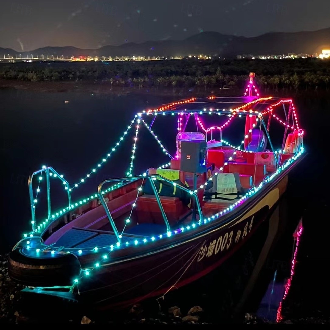 Guirlande lumineuse colorée Bluetooth App étanche en fil de cuir effet coloré de course de chevaux guirlande féerique lumières décoratives d'ambiance pour arbres mariage festival fête du Nouvel An de 2026 ? $7.49 –P8