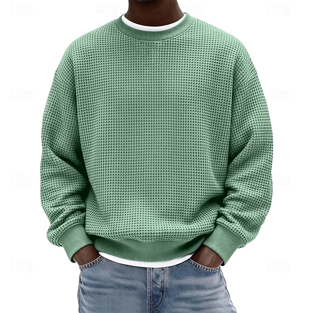 Férfi Pulóver Gofris pulóver Pulóver kapucnis pulóver Vörösbor Fekete Fehér Világoszöld Sötétkék Terített nyak Sima Texturált Hétköznapi Napi Sport & Szabadtéri Poliészter Utcai sikk Menő Sportruházat 2026 - $24.99 –P5