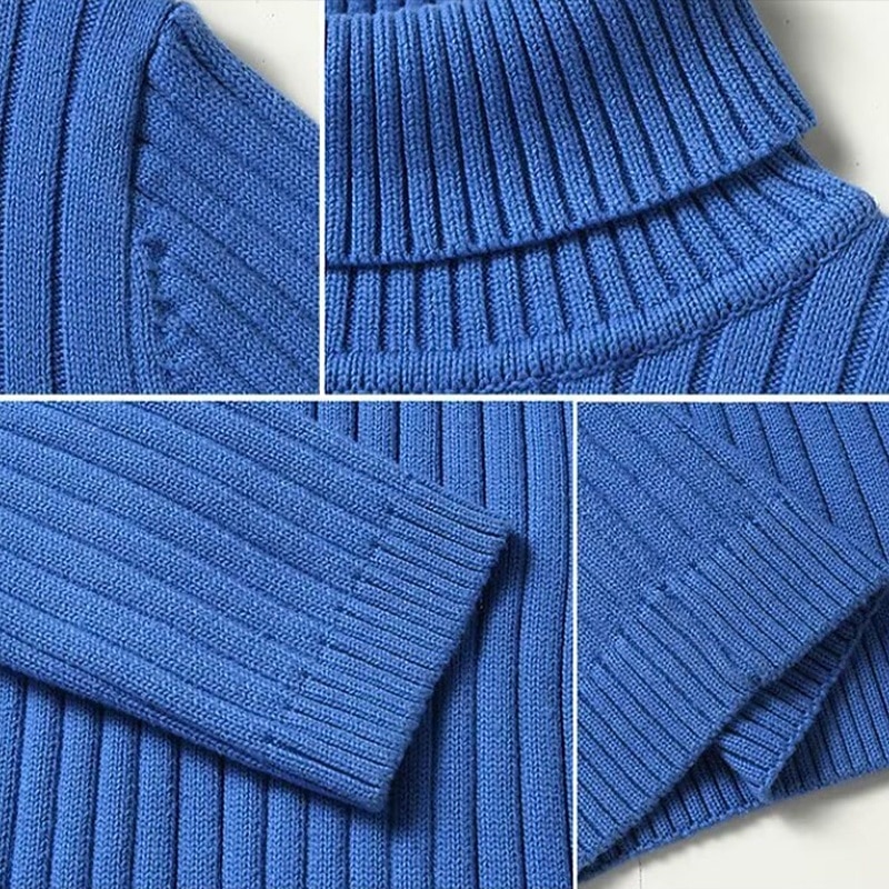 Bărbați Pulover cu gât rotic Pulover pulover Striat Tricotat Topuri obișnuite Tricotat Striat Simplu Gât Înalt De Bază Păstrați-vă cald Casual Purtare Zilnică Îmbrăcăminte Iarnă Albastru piscină Negru 2026 - $22.99 –P4