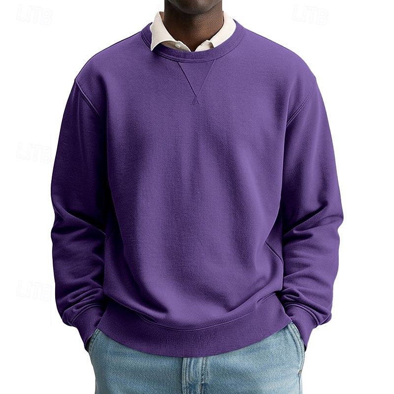 Voor heren Sweatshirt Stoppen Wit Strakke ronde hals Opstaande boord Effen Casual Dagelijks Sport & Outdoor Streetwear Sportkleding Basic Herfst Winter Kleding Hoodies Sweatshirts Lange mouw 2026 - $24.99 –P3