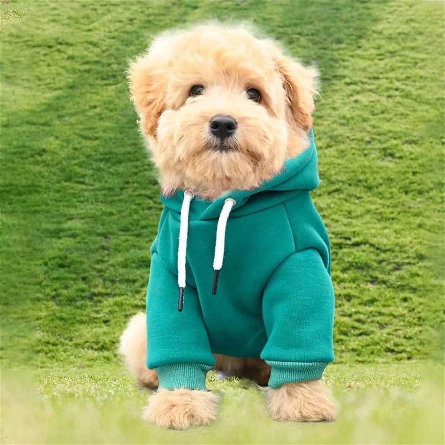 Suéteres para perros pequeños, suéter cálido de otoño para niños, suéter para cachorros medianos con bolsillo de vellón para perros pequeños, sudadera con capucha de invierno para niñas, ropa para mascotas. 2026 - $21.99 –P5