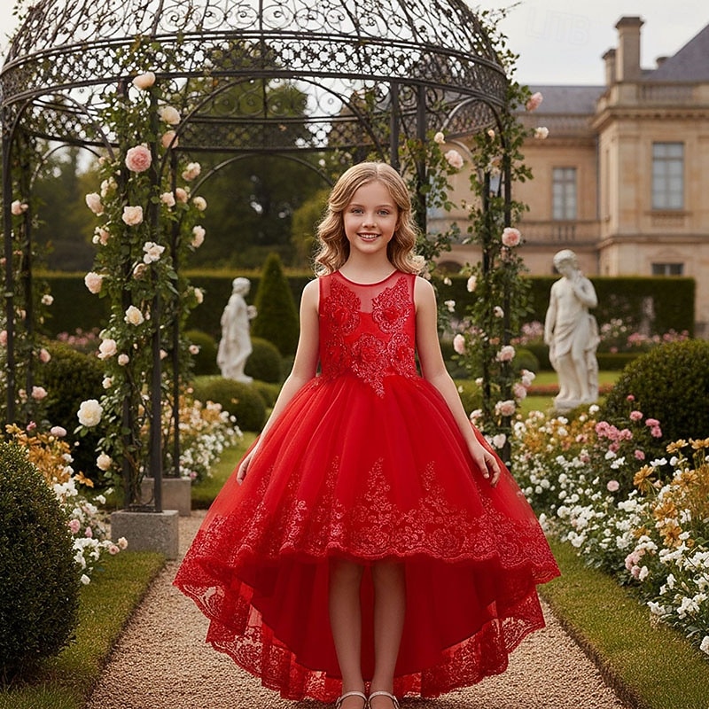 Flower Girl Dress Girls' Formal Dress Wedding Attire Party Wedding Formal Adorable Formal Princess First Communion Dress Patchwork Mesh Solid Color Sleeveless Crew Neck White Pink 4 years+ 2026 - $49.99 –P6