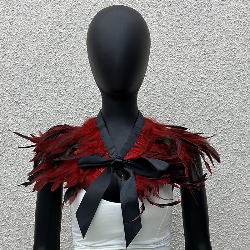 Carnival 2026 Rio Carnival Samba Accessories Women's Black Feather Cape Shawl with Satin Ribbon Tie Brazil Festival Performance Costume 2026 - $20.99 –P3