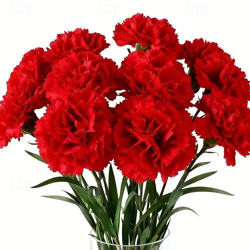 Bouquet di 15 garofani rossi vivaci - calda composizione floreale artificiale - fiori finti per la casa, adatti per matrimoni, uffici, decorazioni natalizie, San Valentino, festa della mamma, del 2026 a $13.99 –P8