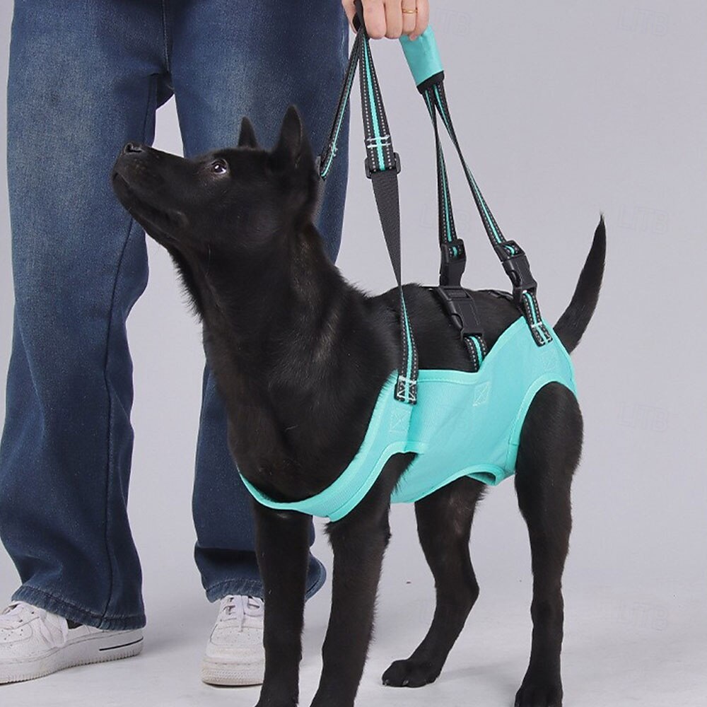 Cachorros Leash mãos livres Esporte & lazer Animais Portátil Ajustável Respirável Segurança Ao ar livre Esportes Casual / Diário Cachorro de 2026 por $32.99 –P6