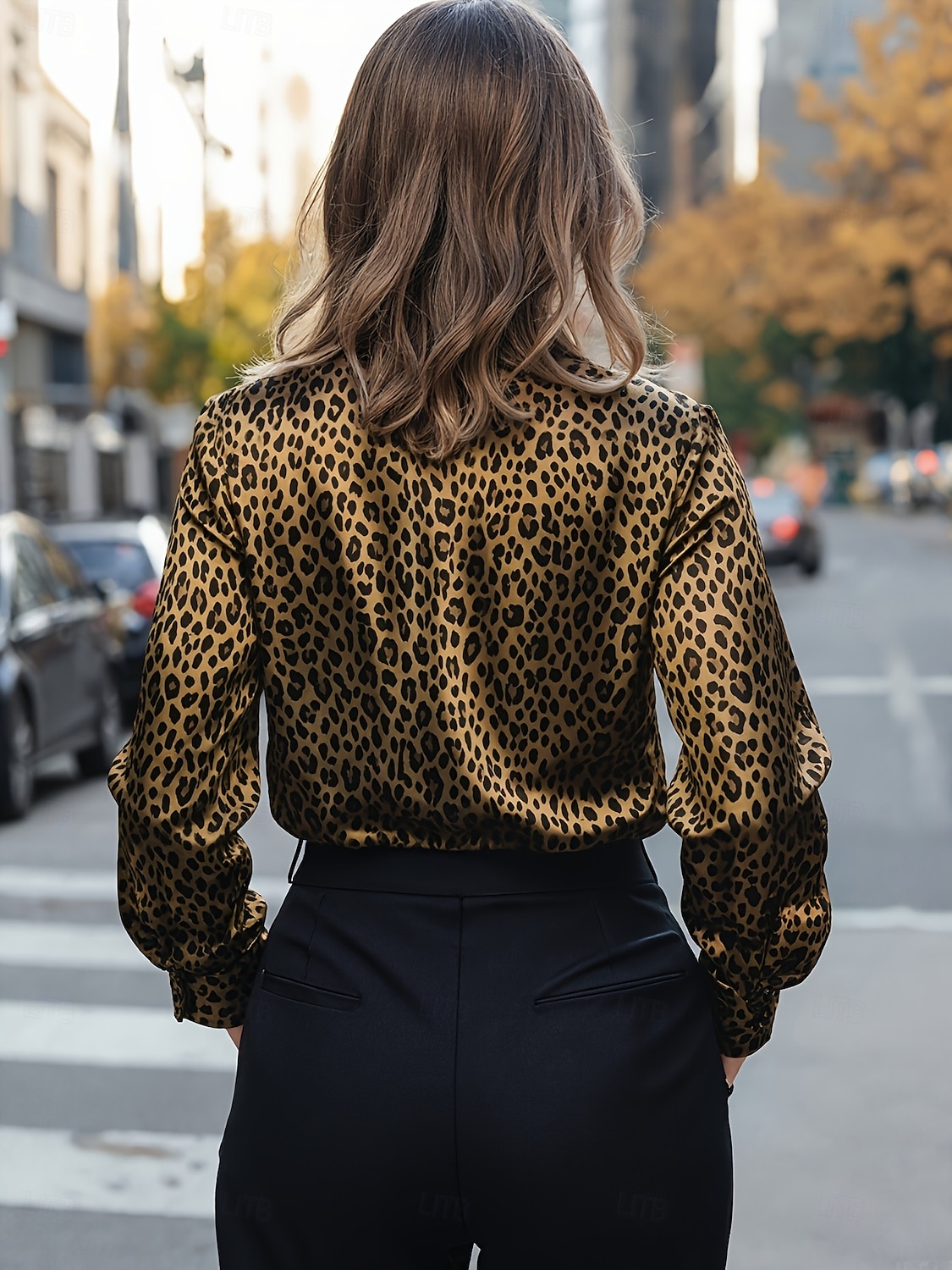Women's Blouse Buttons Print Leopard Stylish Casual Long Sleeve Shirt Collar Regular Tops Daily Blue Silver Yellow Brown Spring Fall 2026 - $32.99 –P8