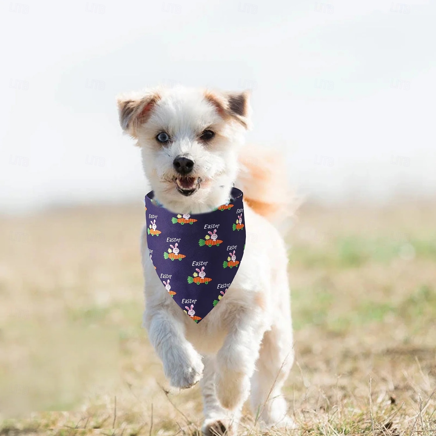 Pet Neckerchief Cartoon Bunny Pattern Easter Festival Bandana Bib Cat Printing Saliva Towel Dog Triangle Scarf for All Seasons 2026 - $10.49 –P7