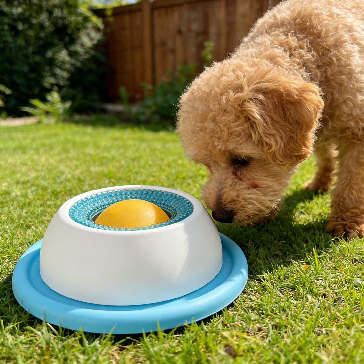 Tapete para lamber para cães, brinquedo de enriquecimento ambiental para cães - base antiderrapante, acessórios para animais de estimação para treinamento de alimentação saudável, prato para lamber de 2026 por $12.49 –P5