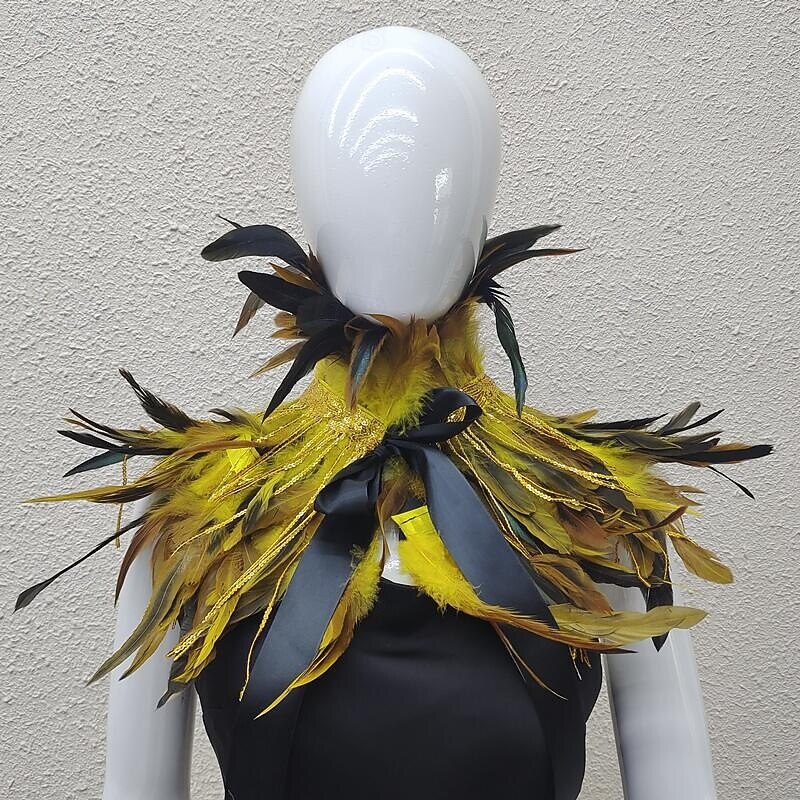 Καρναβάλι 2026 Ρίο Καρναβάλι Σαμπά Αξεσουάρ Γυναικείου Ουράνιου Φτερού Κάπα με Σειρές Παγιέτας Πολύχρωμο Φτερό Ώμου Σα Shawl με Κορδέλα Δεσίματος Κοστούμι Επίδειξης Φεστιβάλ Βραζιλίας 2026 - $22.99 –P9