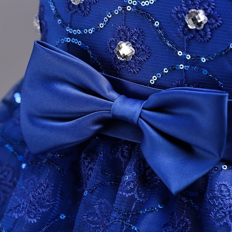Blumenmädchenkleid Mädchen Formelle Kleidung Hochzeitskleidung Party Hochzeit Formell Mode Prinzessin Schön Kleid für die Erstkommunion Netz Einfarbig Ärmellos Rundhalsausschnitt Blau Weiß Ab 4 Jahren 2026 - $36.99 –P12