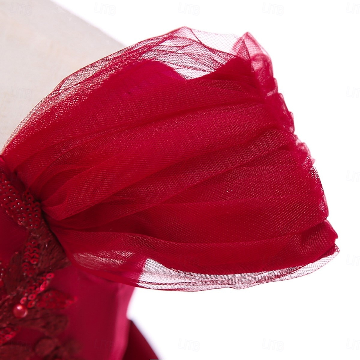 Copii Fete Rochie de petrecere Culoare solidă Fără manșon Ocazie specială Zi de Naștere Prințesă Dulce Poliester Maxi Rochie de petrecere Vară Primăvară 4-13 ani Șampaniu Roz Îmbujorat Roșu Vin 2026 - $52.99 –P6