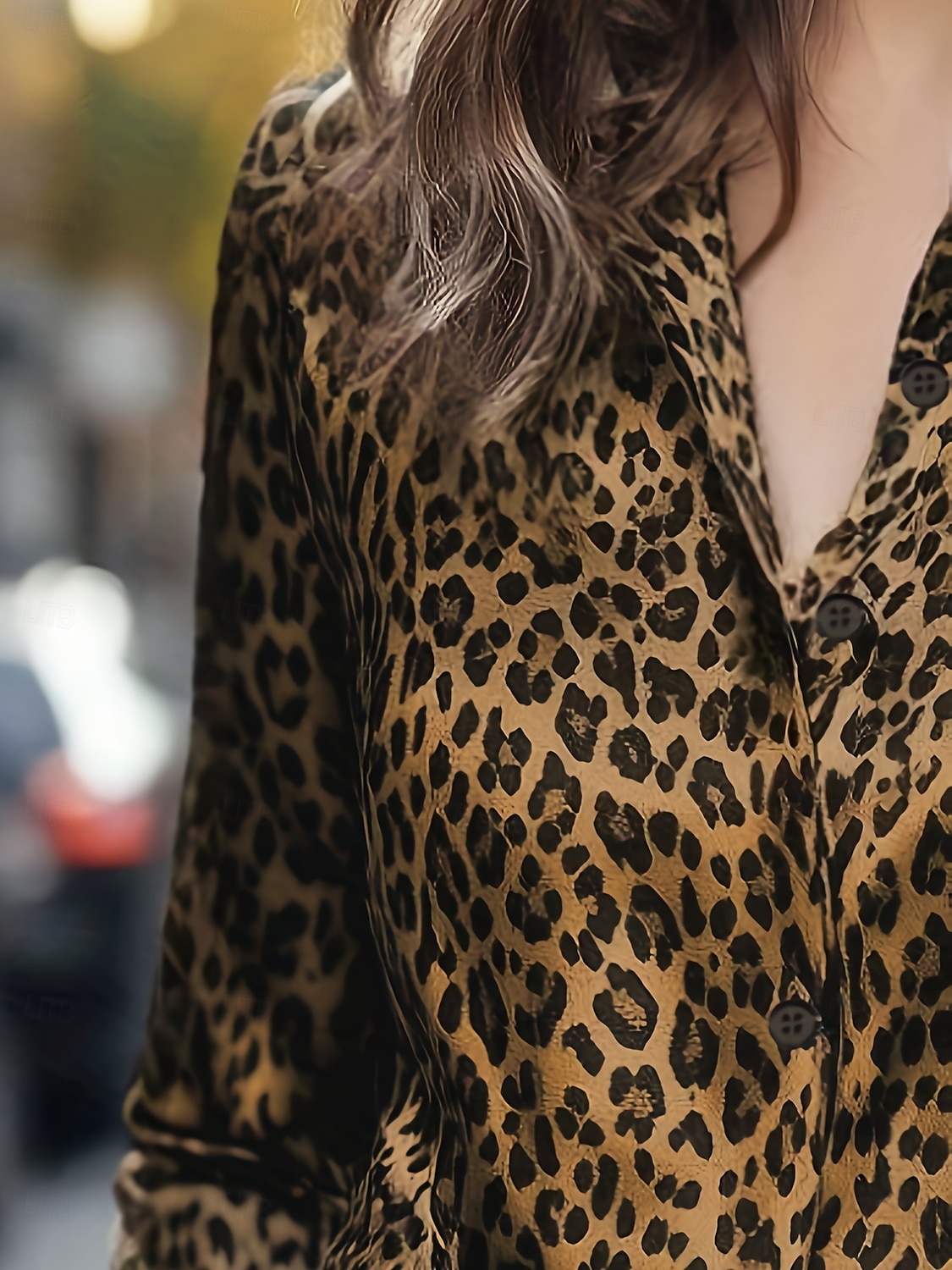 Women's Blouse Buttons Print Leopard Stylish Casual Long Sleeve Shirt Collar Regular Tops Daily Blue Silver Yellow Brown Spring Fall 2026 - $32.99 –P9