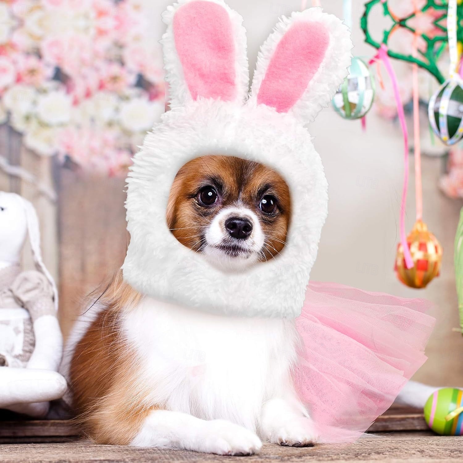 Chien Costume Mignon Chaud Doux Mode Confortable Extérieur Soirée Chien de 2026 ? E£1263.87 –P2