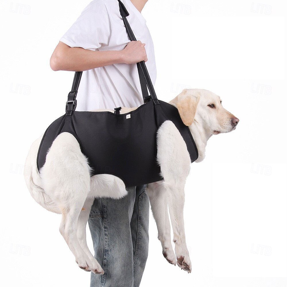 Cachorros Leash mãos livres Esporte & lazer Animais Portátil Ajustável Respirável Segurança Ao ar livre Esportes Casual / Diário Cachorro de 2026 por $32.99 –P1