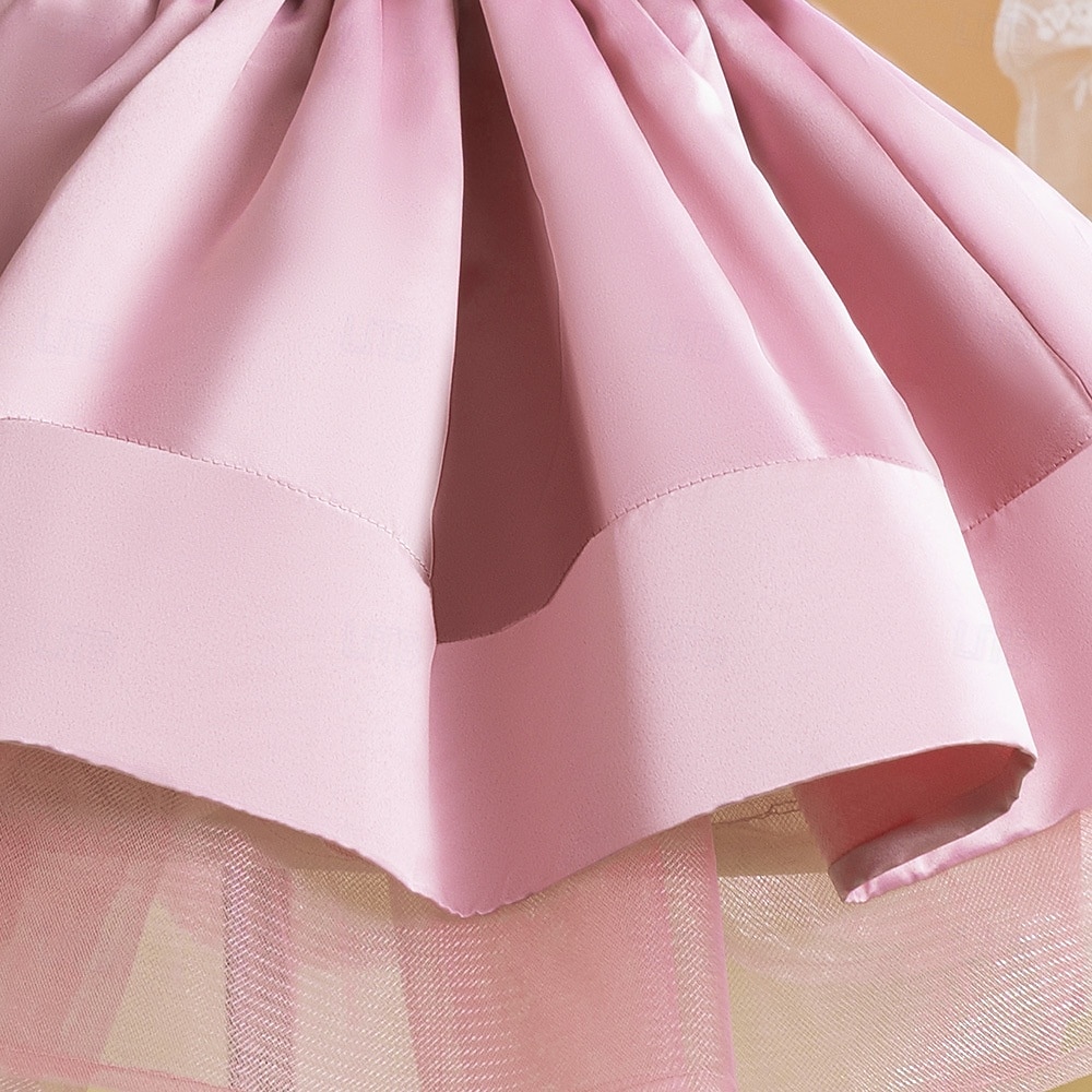 Kinder Mädchen Partykleid Einfarbig Ärmellos Besonderer Anlass Geburtstag Niedlich Süß Polyester Midi Partykleid Sommer Frühling Kinder Rosa Rote Himmelblau 2026 - $54.99 –P7