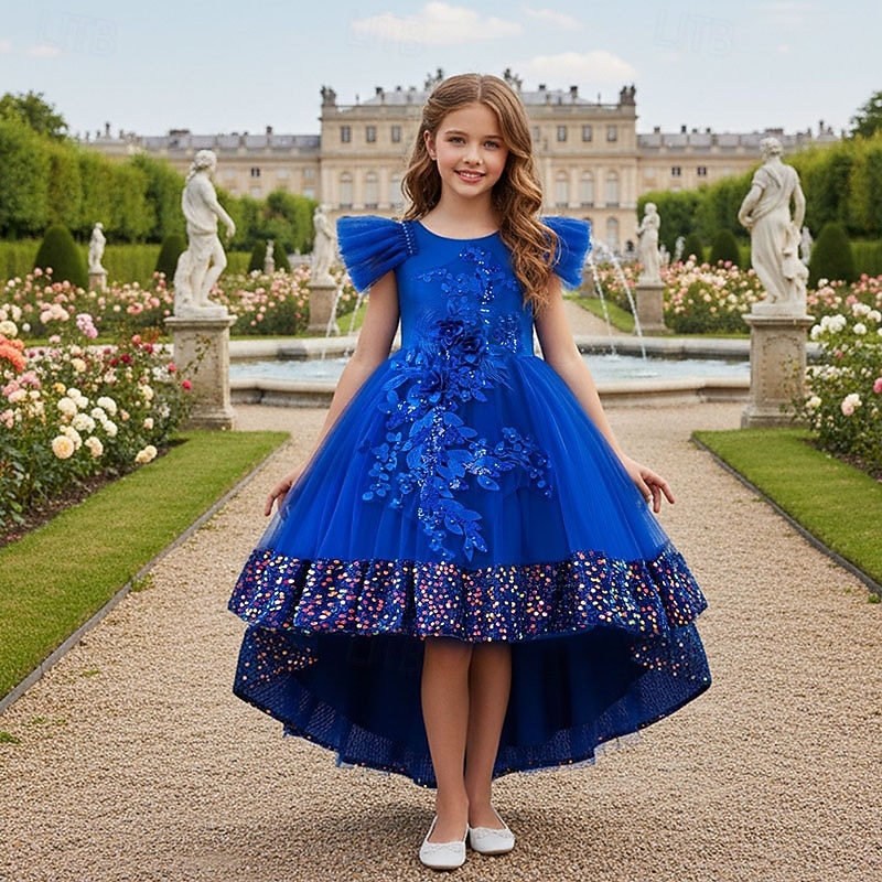 Blumenmädchenkleid Mädchen Formelle Kleidung Hochzeitskleidung Party Hochzeit Formell Prinzessin Kleid für die Erstkommunion Pailletten Patchwork Einfarbig Kurze Ärmel Rundhalsausschnitt Blau Rosa Ab 2026 - $52.99 –P1
