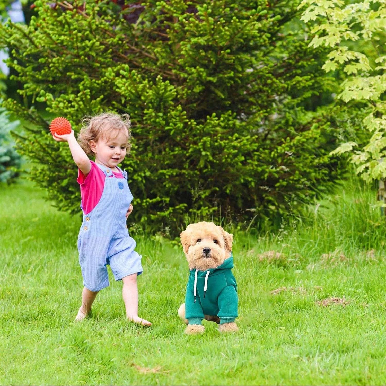 Suéteres para perros pequeños, suéter cálido de otoño para niños, suéter para cachorros medianos con bolsillo de vellón para perros pequeños, sudadera con capucha de invierno para niñas, ropa para mascotas. 2026 - $21.99 –P4