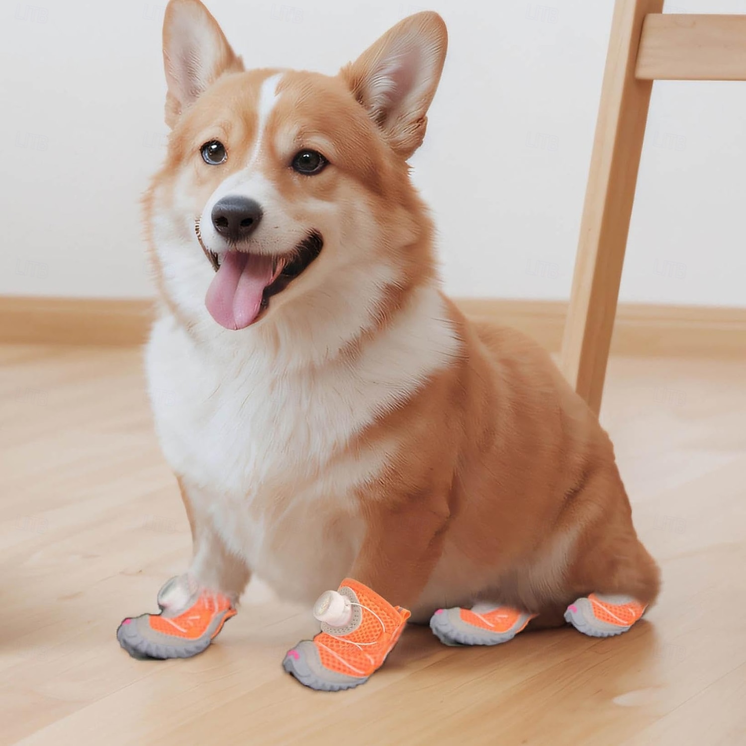 2 регулируемые по размеру собачьи ботинки с застежкой-кнопкой - водостойкие &Летние сапоги из сетчатого материала, нескользящая подошва для паркетных полов, дышащая защита лап, для мелких и средних 2026 - $24.99 –P2