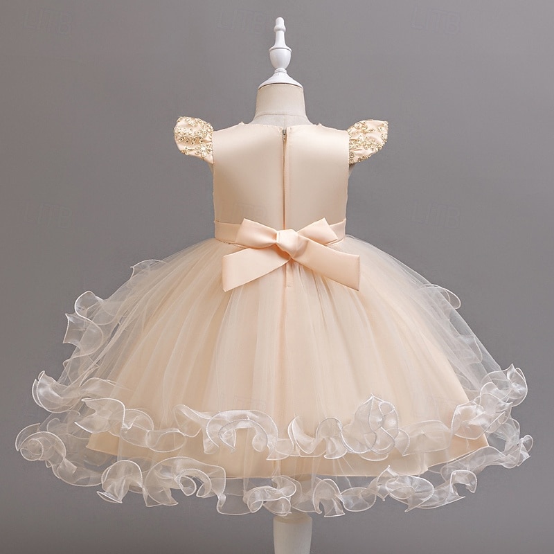 Robe de Demoiselle d'Honneur Fille Fille Robe de soirée Tenue de mariage Soirée Mariage Formel Mode Adorable Princesse Patchwork Broderie Fleuri Sans manches Col en V Bleu Champagne 4 ans et + de 2026 ? $42.99 –P10