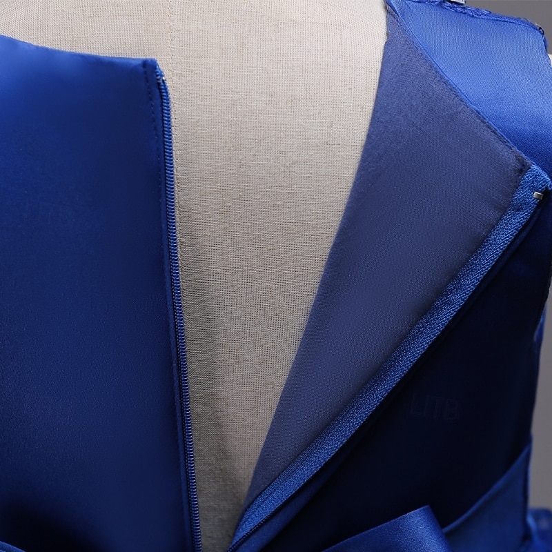 Blumenmädchenkleid Mädchen Formelle Kleidung Hochzeitskleidung Party Hochzeit Formell Mode Prinzessin Schön Kleid für die Erstkommunion Netz Einfarbig Ärmellos Rundhalsausschnitt Blau Weiß Ab 4 Jahren 2026 - $36.99 –P13