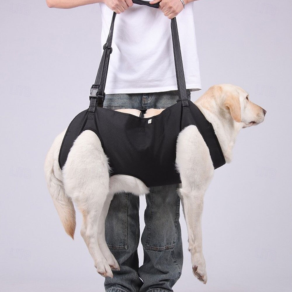 Cachorros Leash mãos livres Esporte & lazer Animais Portátil Ajustável Respirável Segurança Ao ar livre Esportes Casual / Diário Cachorro de 2026 por $32.99 –P4