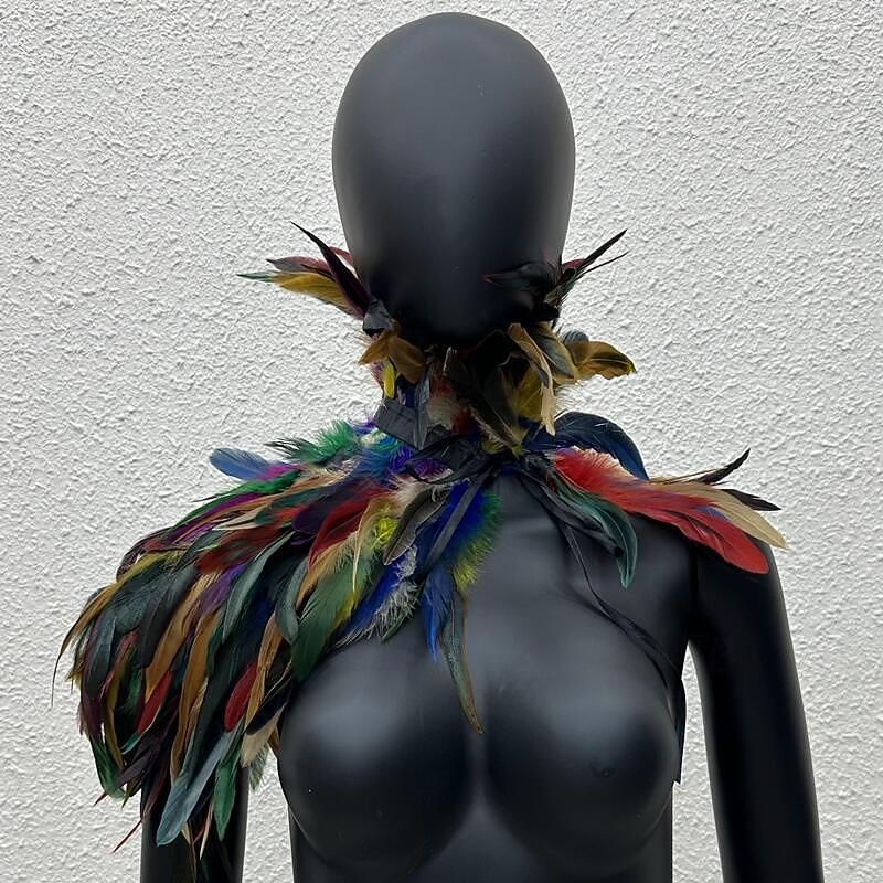 Accessori Samba Carnevale 2026 Rio Carnevale Mantello Stola Piume Bianche Donna con Collo Alto Costume per Festival in Brasile del 2026 a $18.99 –P4