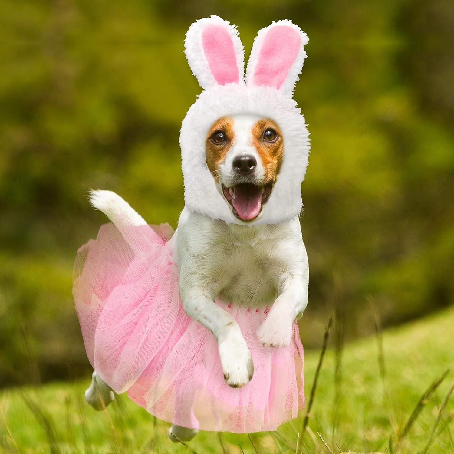 Chien Costume Mignon Chaud Doux Mode Confortable Extérieur Soirée Chien de 2026 ? E£1263.87 –P1