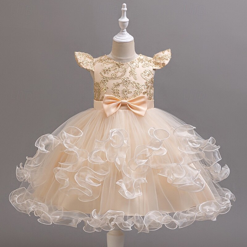 Robe de Demoiselle d'Honneur Fille Fille Robe de soirée Tenue de mariage Soirée Mariage Formel Mode Adorable Princesse Patchwork Broderie Fleuri Sans manches Col en V Bleu Champagne 4 ans et + de 2026 ? $42.99 –P8