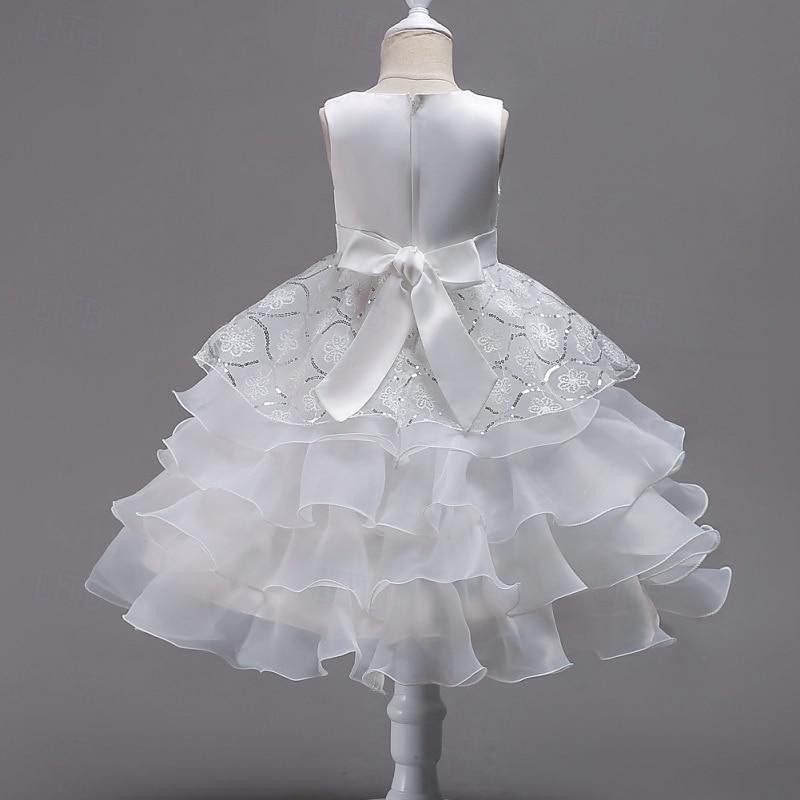 Blumenmädchenkleid Mädchen Formelle Kleidung Hochzeitskleidung Party Hochzeit Formell Mode Prinzessin Schön Kleid für die Erstkommunion Netz Einfarbig Ärmellos Rundhalsausschnitt Blau Weiß Ab 4 Jahren 2026 - $36.99 –P8