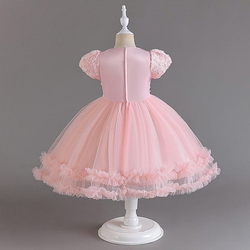 Sukienka dla dziewczynki z kwiatami Dla dziewczynek Suknia formalna Strój ślubny Impreza Ślub Formalny Godny podziwu Księżniczka Piękny Sukienka do Pierwszej Komunii Niejednolita całość Zamek 2026 - $45.99 –P8