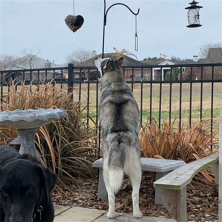 Ręcznie robione ptasie serce do gniazdowania, pojemnik na materiały do gniazdowania ptaków z bawełny PP, wymienne ptasie serce do gniazdowania kolibrów, zimowe prezenty dla miłośników kolibrów, wystrój ogrodu domowego 2026 - $21.99 –P10