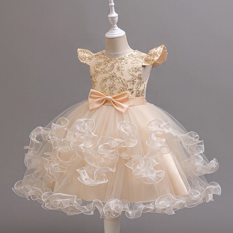 Robe de Demoiselle d'Honneur Fille Fille Robe de soirée Tenue de mariage Soirée Mariage Formel Mode Adorable Princesse Patchwork Broderie Fleuri Sans manches Col en V Bleu Champagne 4 ans et + de 2026 ? $42.99 –P9