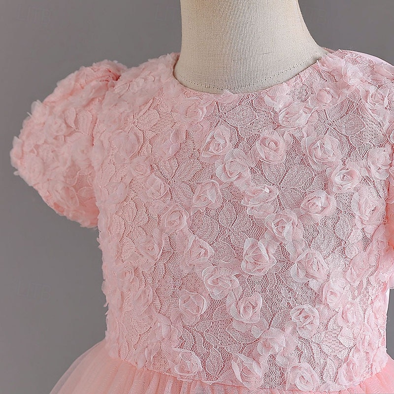 Sukienka dla dziewczynki z kwiatami Dla dziewczynek Suknia formalna Strój ślubny Impreza Ślub Formalny Godny podziwu Księżniczka Piękny Sukienka do Pierwszej Komunii Niejednolita całość Zamek 2026 - $45.99 –P9