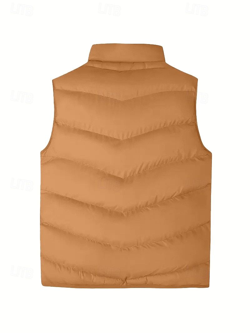 Per uomo Gilet imbottito Gilet Vacanza Quotidiano Data Moda Casual Autunno Inverno Tasca Poliestere Caldo Confortevole Tinta unica Cerniera Collo alla coreana Vestibilità regolare Blu Nero Giallo del 2026 a $30.99 –P17