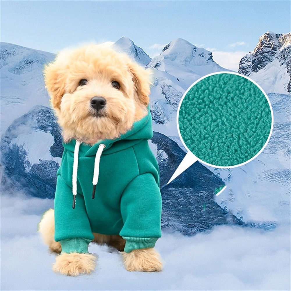 St.Patrick's Day Dog Sweaters for Small Dogs, Fall Warm Dogs Boy Clothes Sweater, Medium Puppy with Pocket Fleece for Small Dog Girl Winter Hoodie Pet Clothes, Pet Supplies Red 2026 - $21.99 –P3