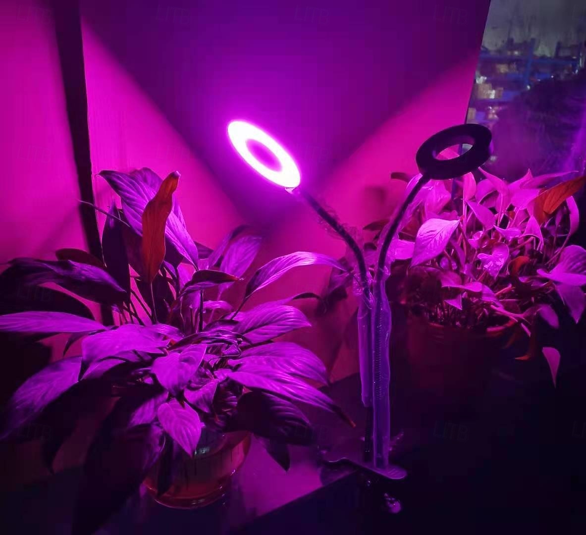 Luminária de LED para cultivo de plantas com 1/2/3/4 LEDs, espectro completo, 48 LEDs, temporizador, brilho ajustável, alimentação USB 5V, ideal para plantas de interior, hidroponia, hortaliças, de 2026 por $18.49 –P2