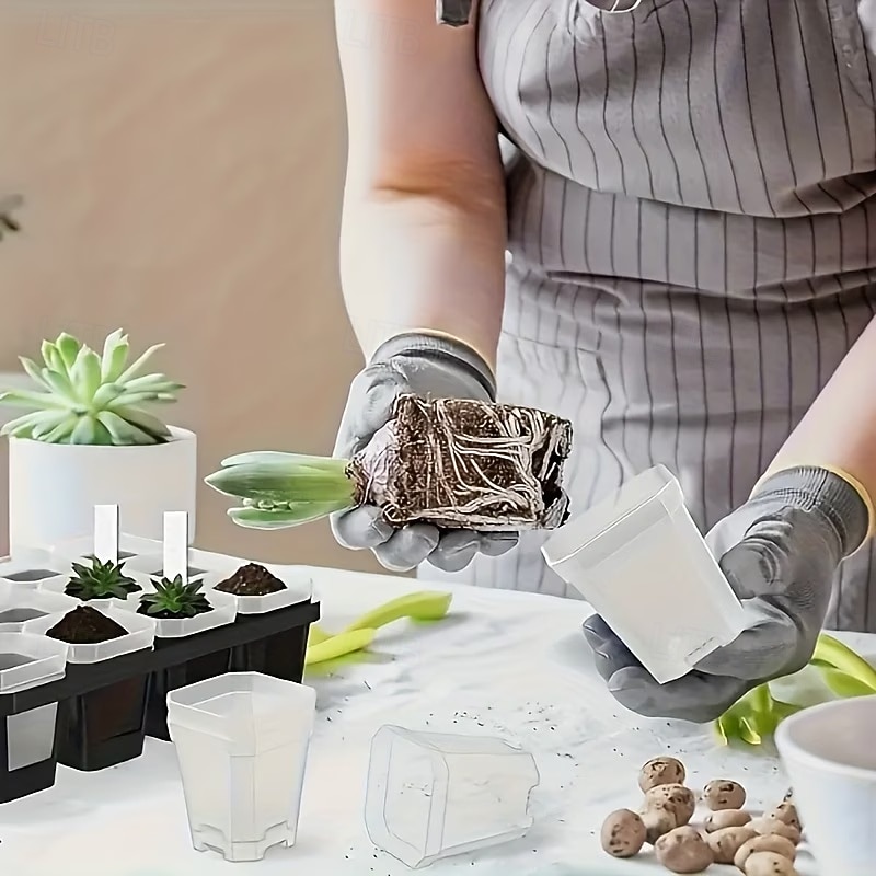 10pcs of Transparent Plant Seedling Pots with Humidity Domes, Square Plastic Containers with Lids And Bases, Breathable And Heat-Insulating, Suitable for Seedlings, Vegetables, Succulents 2026 - $20.99 –P3