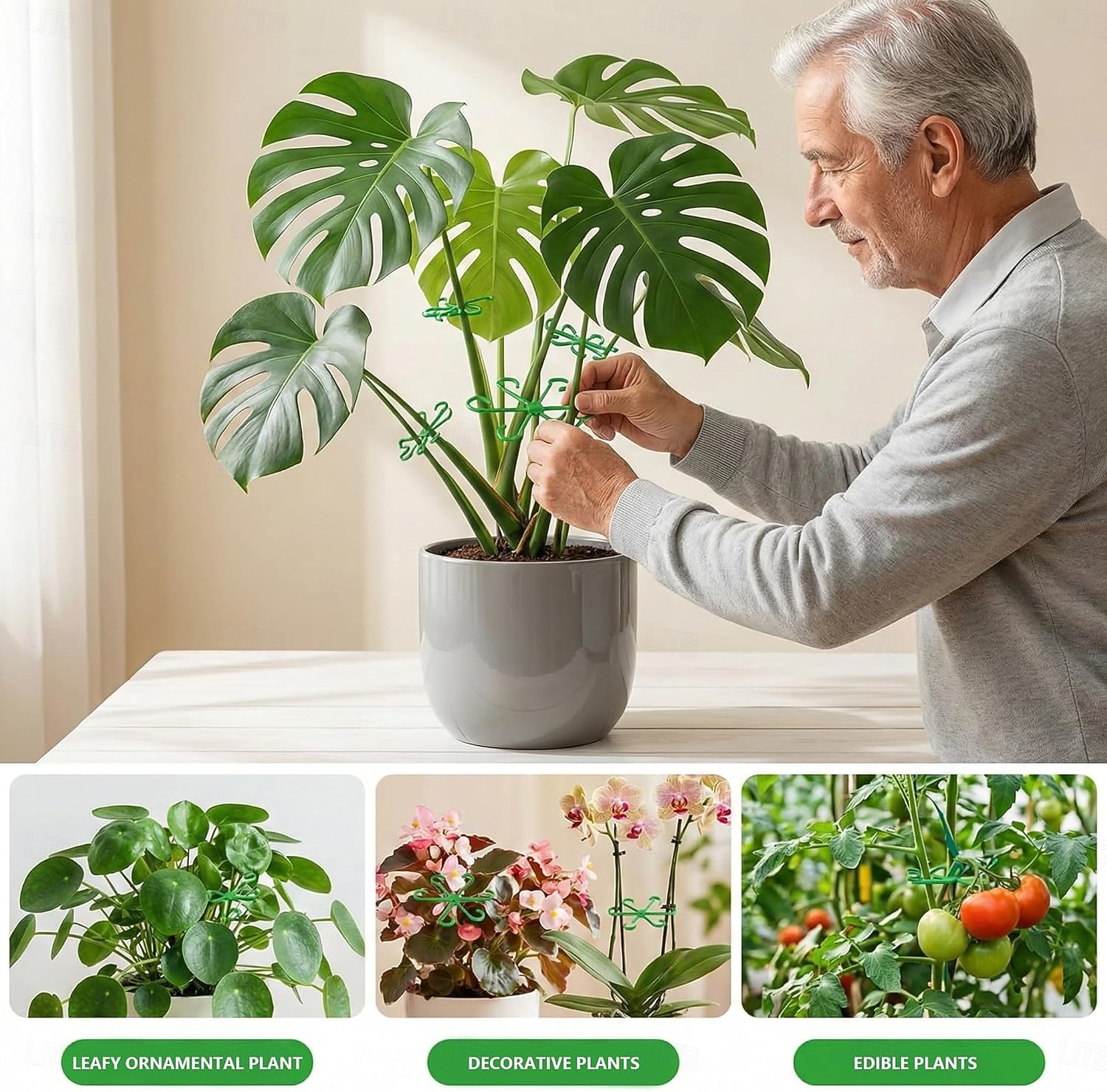 16 db-os növényi szártámasz szobanövényekhez, kúszó szobanövény szártámaszok, 4 méretű újrafelhasználható kapcsok szörnyetegekhez, orchideákhoz &pothos, kúszószártartók (zöld) 2026 - $10.49 –P3