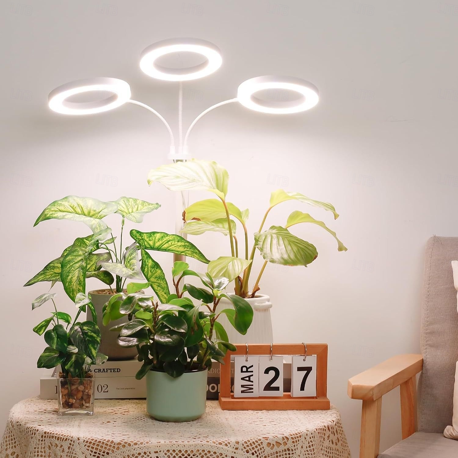 6-tommers LED-plantelys, dimbart supplementlys for innendørs bruk, justerbar høyde og teleskopisk, for saftig og grønn plantevekst, gulvlampe, vekstlampe 2026 - $29.99 –P1