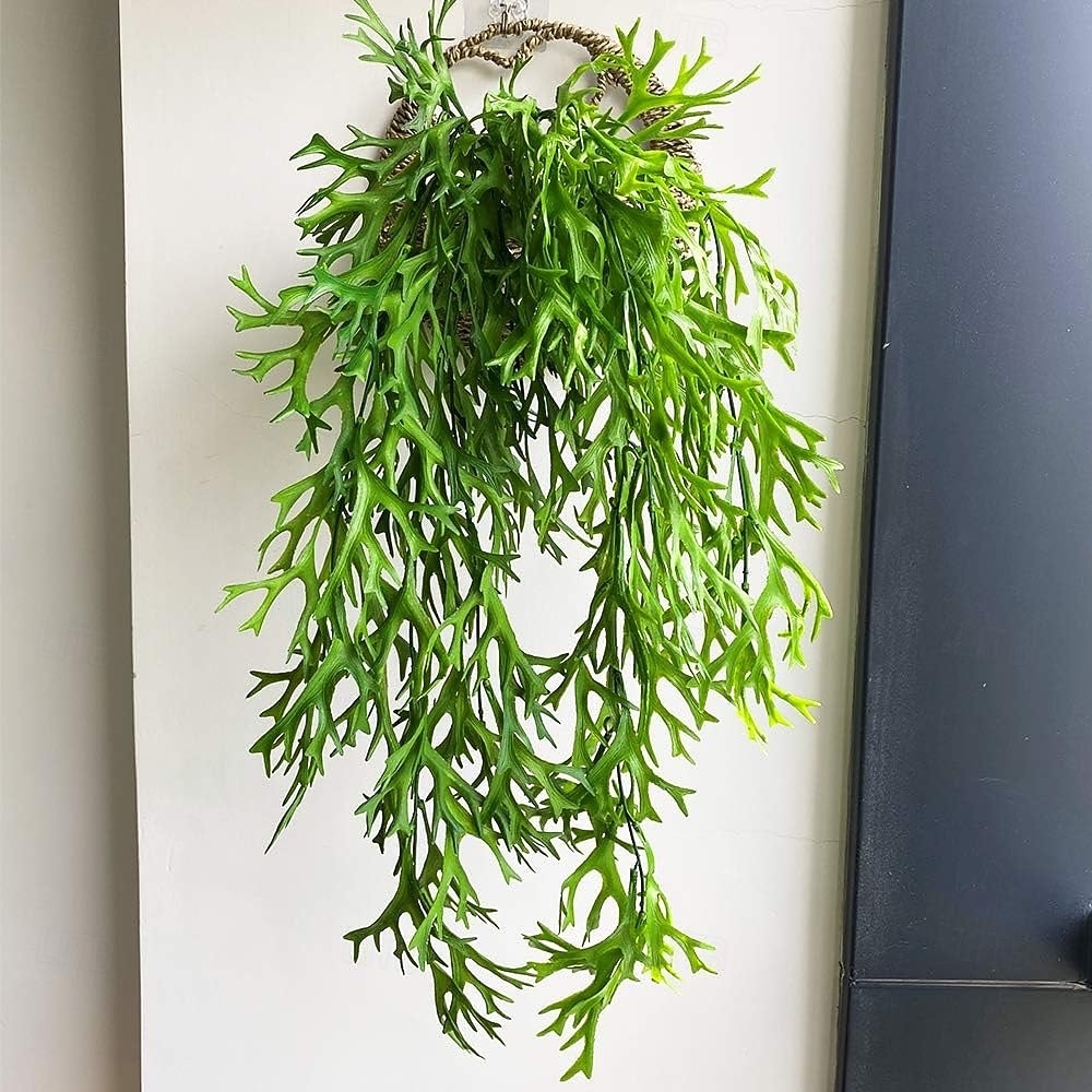 Sada 4 umělých závěsných rostlin z kapradiny staghorn, umělá kapradina, zeleň tropické džungle, listy révy vinné, na dekoraci na zeď, na svatbu, do zahrady, do domu, na venkovní dekoraci 2026 - $22.99 –P2