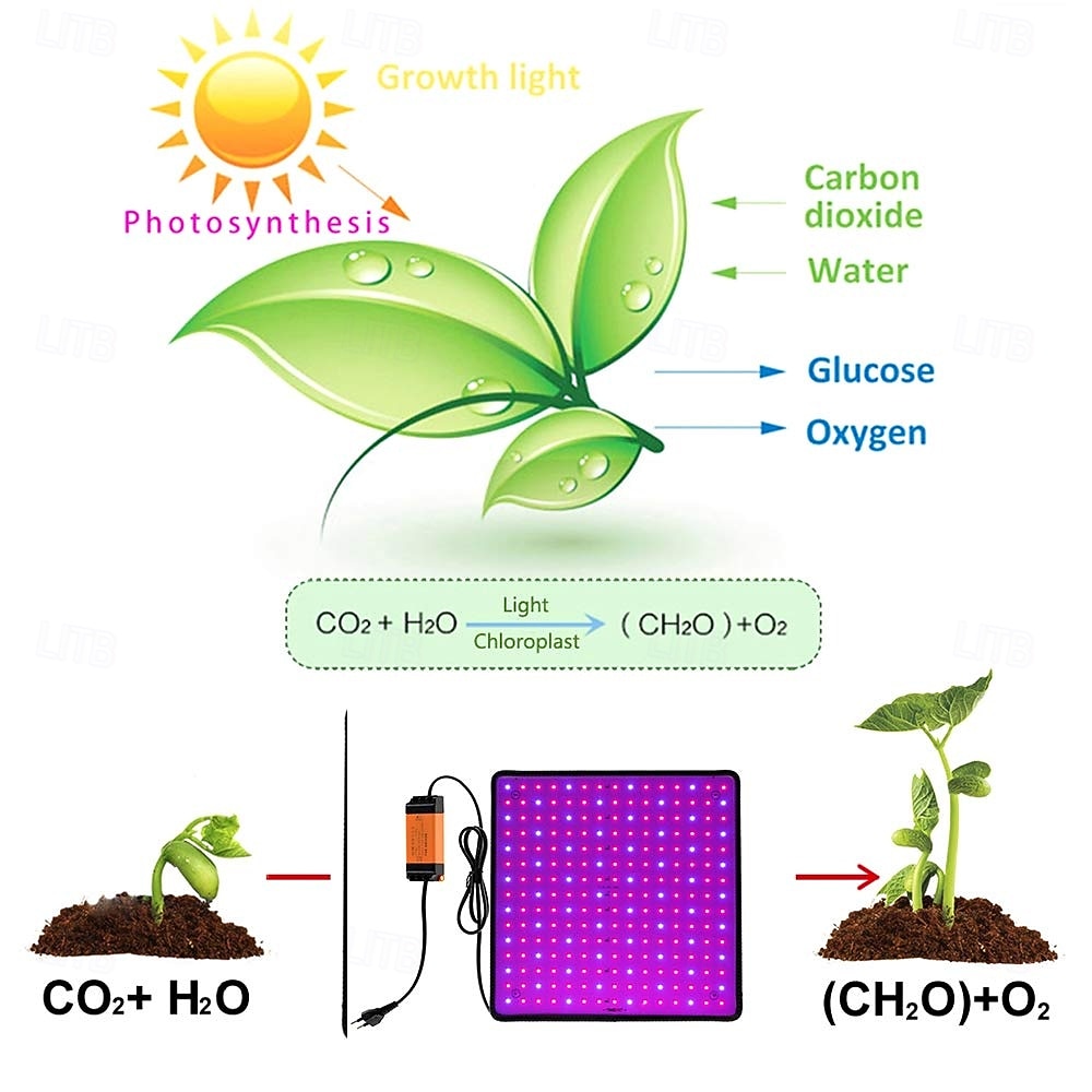 LED Quantum Board Full Spectrum Plant Grow Light for Greenhouse & Succulents, Indoor Flowering & Hydroponic, EU/US/UK/AU Plug, Adjustable Brightness, Energy Efficient 2026 - $33.99 –P3